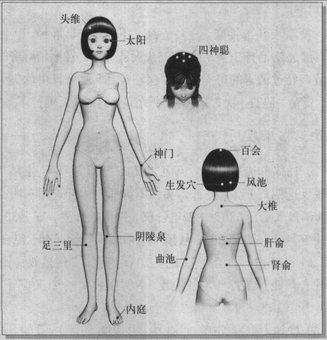 第五節(jié) 掉發(fā)過多